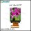 1.44 inch TFT LCD MODULE