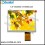 5.6 inch TFT LCD MODULE CT056BUL03