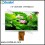 7.0 inch TFT LCD MODULE CT070BQU38